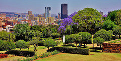 Südafrika ( South-Africa), unterwegs in Pretoria , Blick von den Unions Gärten auf die Stadt , 22008