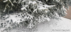 January 18, 2023 - Snow art in Broomfield. (David Canfield)