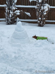 January 18, 2023 - This pup isn't so sure about the snowman. (Andrea Ernst)