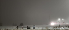 January 1, 2023 - A very foggy scene. (Jennifer McNeil)