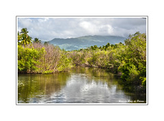 Rio Antón Ruiz (El Yunque al fondo)