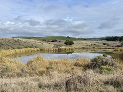 Pond along Tomales Bay Trail