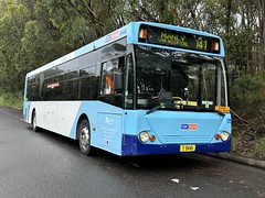 CDC NSW/Forest Coach Lines m/o 8446 Mercedes-Benz O405NH/CC 550