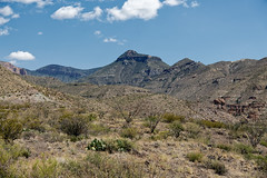 Peaks of the Chisos Mountains at the Homer Wilson Ranch Overlook
