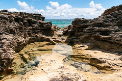 Rock Pool at Spittal Pond Nature Reserve - Bermuda