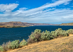 The Great Columbia River