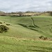 lumps and bumps of abandoned medieval village of Witcombe