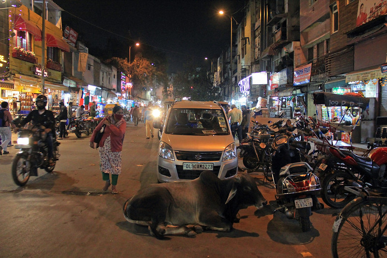 Streets of Delhi 10<br/>© <a href="https://flickr.com/people/8975511@N07" target="_blank" rel="nofollow">8975511@N07</a> (<a href="https://flickr.com/photo.gne?id=52658861074" target="_blank" rel="nofollow">Flickr</a>)