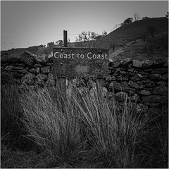 Which Way to the Coast?#flickrfridayboard