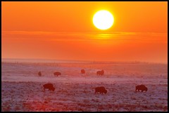 January 24, 2023 - A beautiful sunrise on the plains. (Bill Hutchinson)