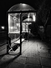 Day 33 Bus Stop