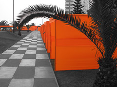 2023 (challenge No. 3 - old unpublished pics ) - Day 35 -orange is teh colour, Lima, Peru 2013