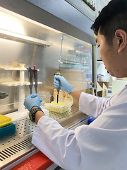 Common Microbial Biotechnology Platform (CMBP) Lab in Hanoi, Vietnam
