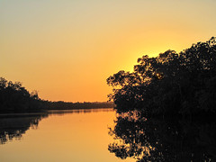 2023 (challenge No. 3 - old unpublished pics ) - Day 38 - Reflections on teh mangroves at dusk, The Gambia 2009
