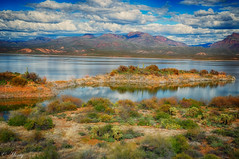 Roosevelt Lake,  Tonto Basin, Arizona, USA