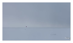 Ski Cerf-Volant sur le Saint Laurent