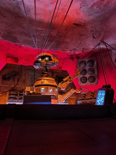 DJ Rex at Oga's Cantina • <a style="font-size:0.8em;" href="http://www.flickr.com/photos/28558260@N04/52687011172/" target="_blank">View on Flickr</a>