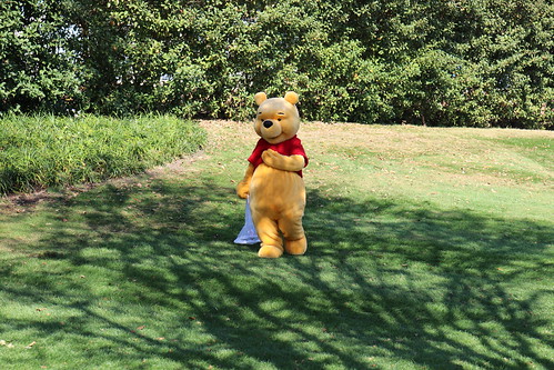 Winnie the Pooh • <a style="font-size:0.8em;" href="http://www.flickr.com/photos/28558260@N04/52687573116/" target="_blank">View on Flickr</a>