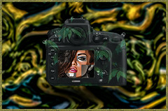 Camera Art - (Abstract-HQ)-2023