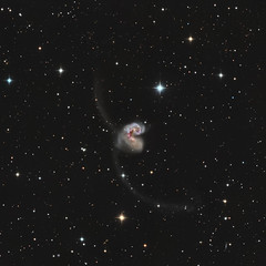 Antennae Galaxies (NGC 4038)