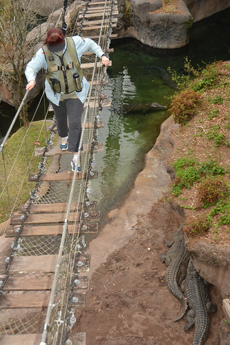 Tracey Making Her Way Over the Crocodile Area • <a style="font-size:0.8em;" href="http://www.flickr.com/photos/28558260@N04/52691401701/" target="_blank">View on Flickr</a>