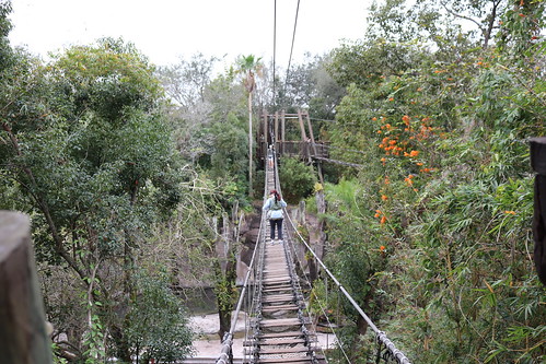 Tracey Crossing the Bridge • <a style="font-size:0.8em;" href="http://www.flickr.com/photos/28558260@N04/52691880973/" target="_blank">View on Flickr</a>