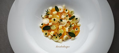 Insalata di agrumi, cipollotto e Primo Sale - Citrus salad, spring onion and Primo Sale cheese