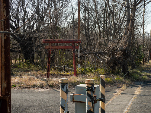 torii gate in former U.S. military base