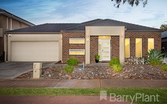 14 Brownlow Drive, Point Cook VIC
