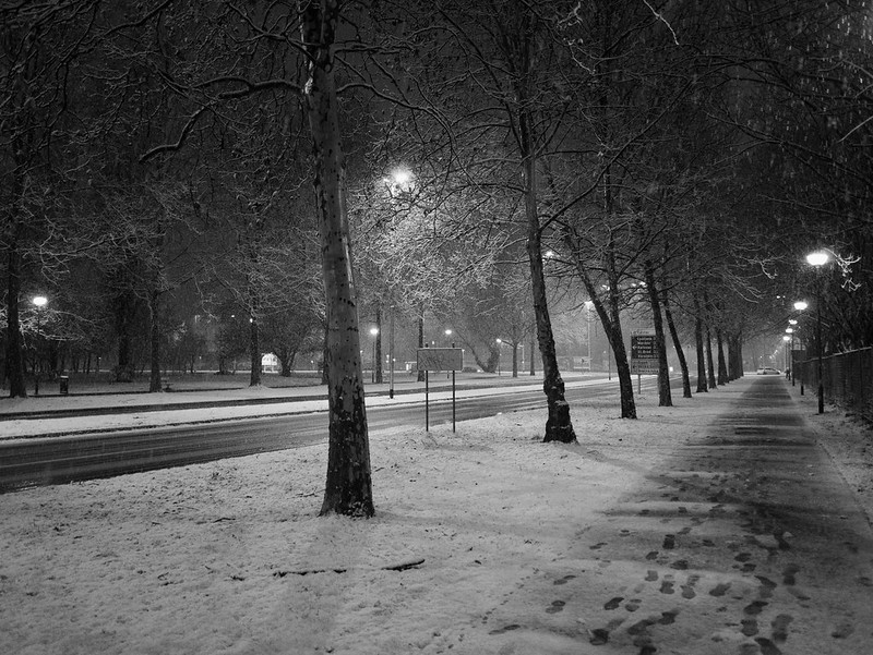 Snowfall night<br/>© <a href="https://flickr.com/people/81926941@N00" target="_blank" rel="nofollow">81926941@N00</a> (<a href="https://flickr.com/photo.gne?id=52712823247" target="_blank" rel="nofollow">Flickr</a>)