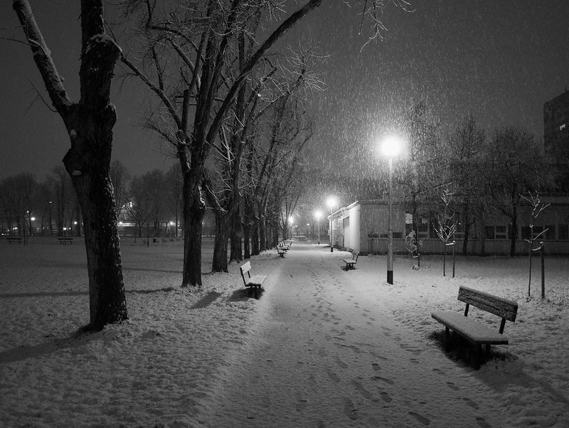 Snowfall night<br/>© <a href="https://flickr.com/people/81926941@N00" target="_blank" rel="nofollow">81926941@N00</a> (<a href="https://flickr.com/photo.gne?id=52712823272" target="_blank" rel="nofollow">Flickr</a>)