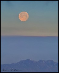 February 6, 2023 - The setting full moon. (Bill Hutchinson)
