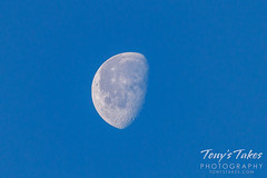February 11, 2023 - Waning gibbous moon. (Tony's Takes)