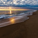 Ocean Sunrise - Cape Henlopen State Park