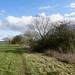 field path approaching Bledington