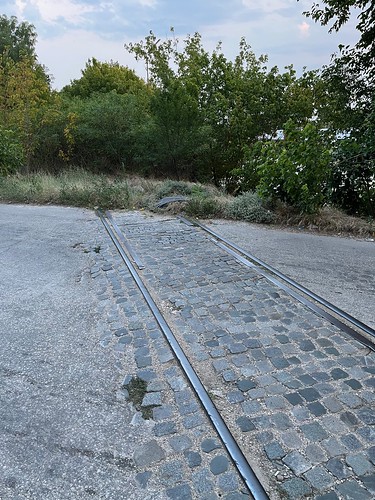 Old tracks to the defunct ferry, Vidin