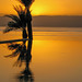 2023 (challenge No. 3 - old unpublished pics ) - Day 61 - Sunset and reflections, Aqaba, Jordan 2008