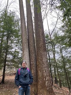 Old Growth Trees and Me at Deer Lick Nature Sanctuary Mar 2023