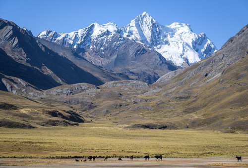 Peru-309-Huaraz-Oyon