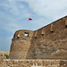 Arad Fort, Bahrain, 15th century (10)