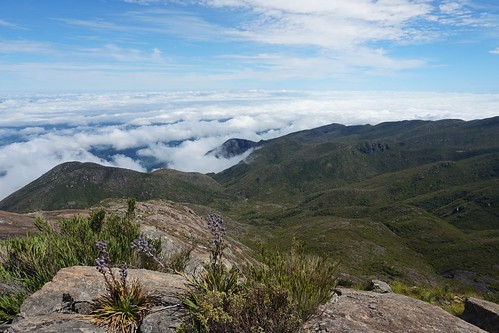 The Summit of the Pico do Cristal (Crystal Peak) at 2,770 m (9,087 ft) MSL, Caparaó National Park, Alto Caparaó, Minas Gerais State, Brazil.