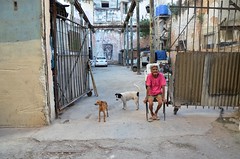 Woman and her dogs in Old Havana, Cuba
