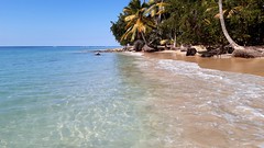 Playa Bonita Beach, Las Terrenas, Samana Peninsula, Dominican Republic