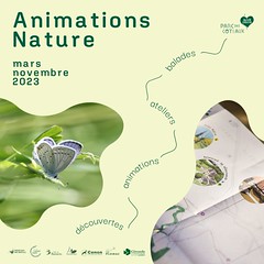 Animations Nature sur le parc des Coteaux