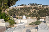 On Top of the Hill, Jerusalem