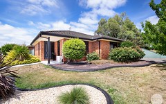 16 Northwood Court, Invermay Park VIC