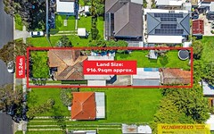 197 Wellington Road, Chester Hill NSW