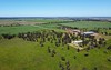 Glenfyne Farms, 228 Back Morundah Road, Narrandera NSW