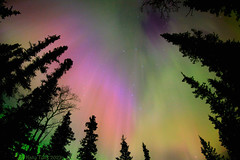 Cosmic Rainbow
