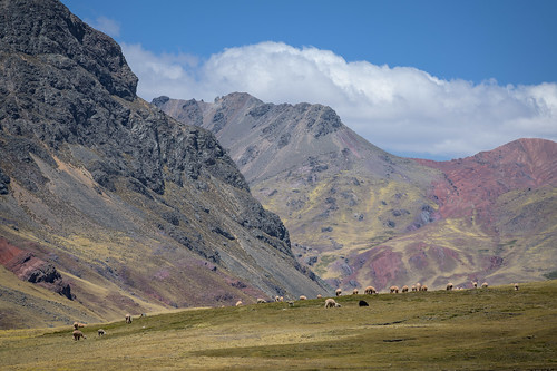 Peru-458-Yantac-Huancaya